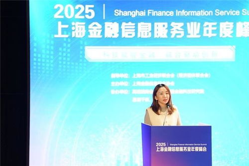 嘉銀科技亮相2025上海金融信息服務(wù)業(yè)年度峰會(huì) 分享AI反欺詐新探索，引領(lǐng)信息技術(shù)咨詢(xún)服務(wù)新范式